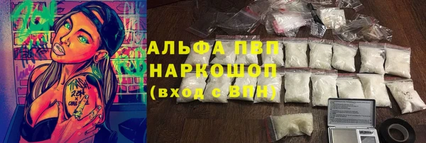 крисы Баксан