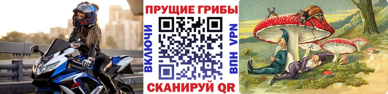 Галлюциногенные грибы Magic Shrooms  Полярные Зори 