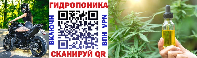 Марихуана семена  Полярные Зори 